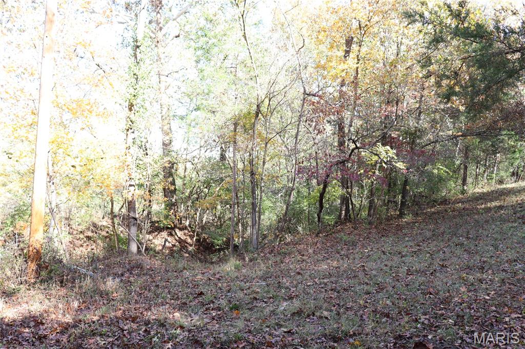 Lot B Dittmer Ridge Road Dittmer, MO 63023 - Photo 18 of 20