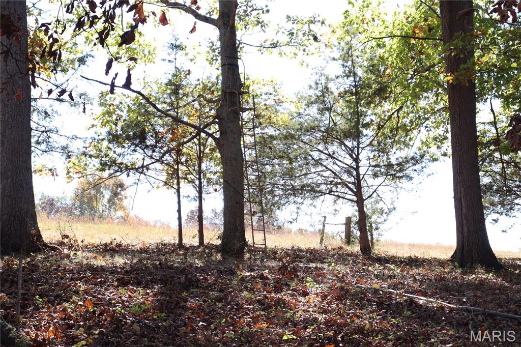 Lot B Dittmer Ridge Road Dittmer, MO 63023 - Photo 4 of 20