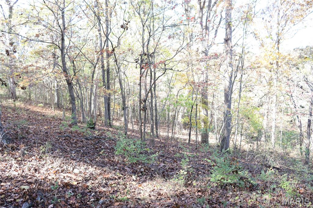 Lot B Dittmer Ridge Road Dittmer, MO 63023 - Photo 5 of 20