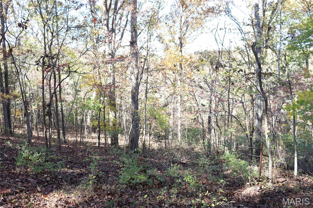 Lot B Dittmer Ridge Road Dittmer, MO 63023 - Photo 6 of 20