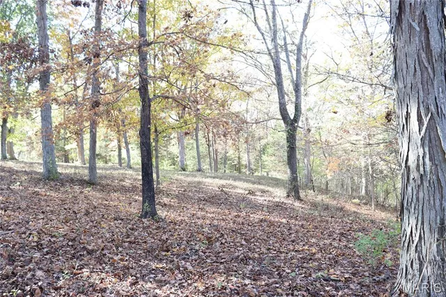 $65,900 | Lot B Dittmer Ridge Road, Dittmer, MO 63023