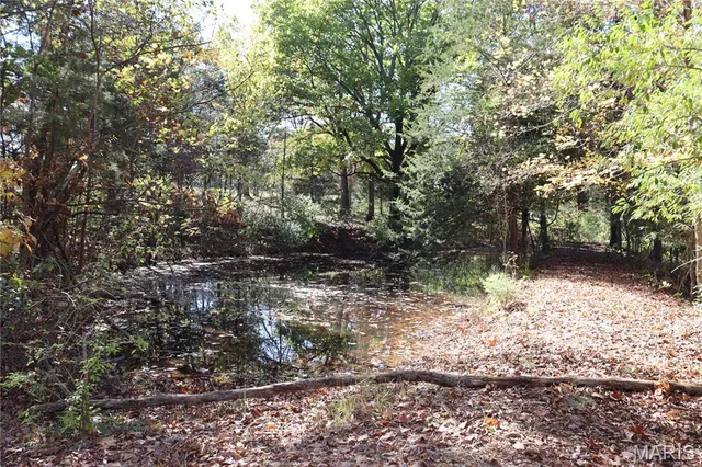 $65,900 | Lot B Dittmer Ridge Road, Dittmer, MO 63023