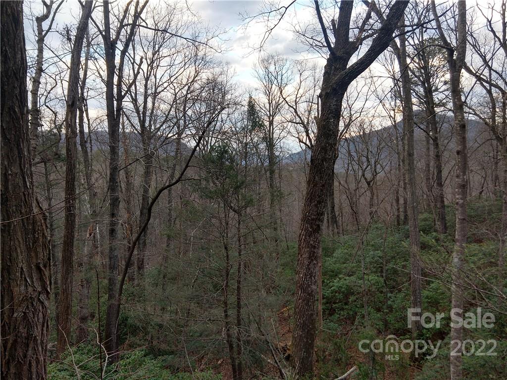 94-95 Rock Spring Rd Lake Lake Lure, NC 28746 - Photo 2 of 10