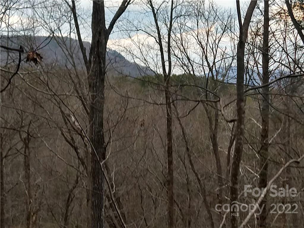 94-95 Rock Spring Rd Lake Lake Lure, NC 28746 - Photo 3 of 10