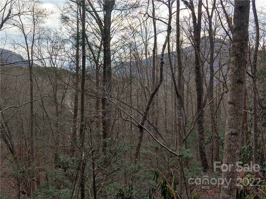 94-95 Rock Spring Rd Lake Lake Lure, NC 28746 - Photo 5 of 10