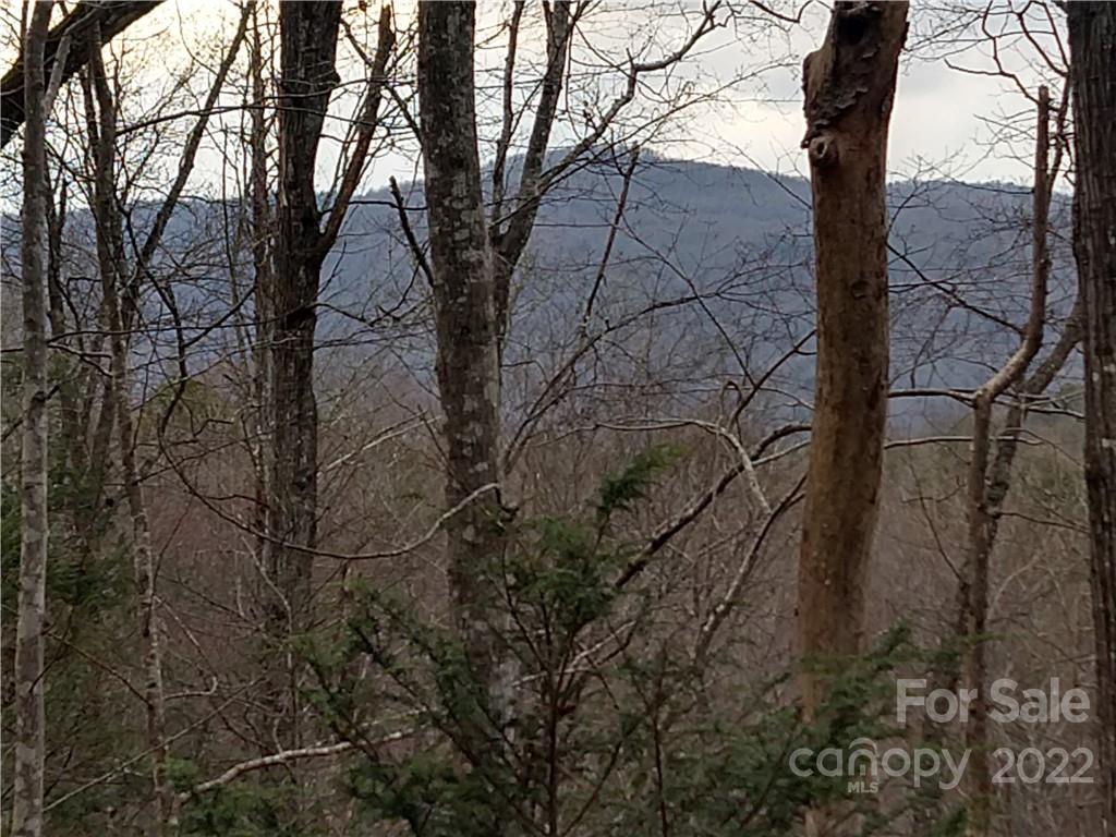 94-95 Rock Spring Rd Lake Lake Lure, NC 28746 - Photo 7 of 10