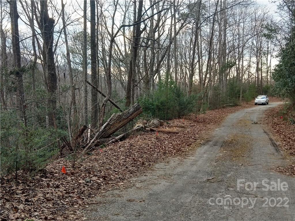 94-95 Rock Spring Rd Lake Lake Lure, NC 28746 - Photo 8 of 10