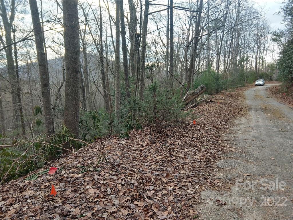 94-95 Rock Spring Rd Lake Lake Lure, NC 28746 - Photo 9 of 10