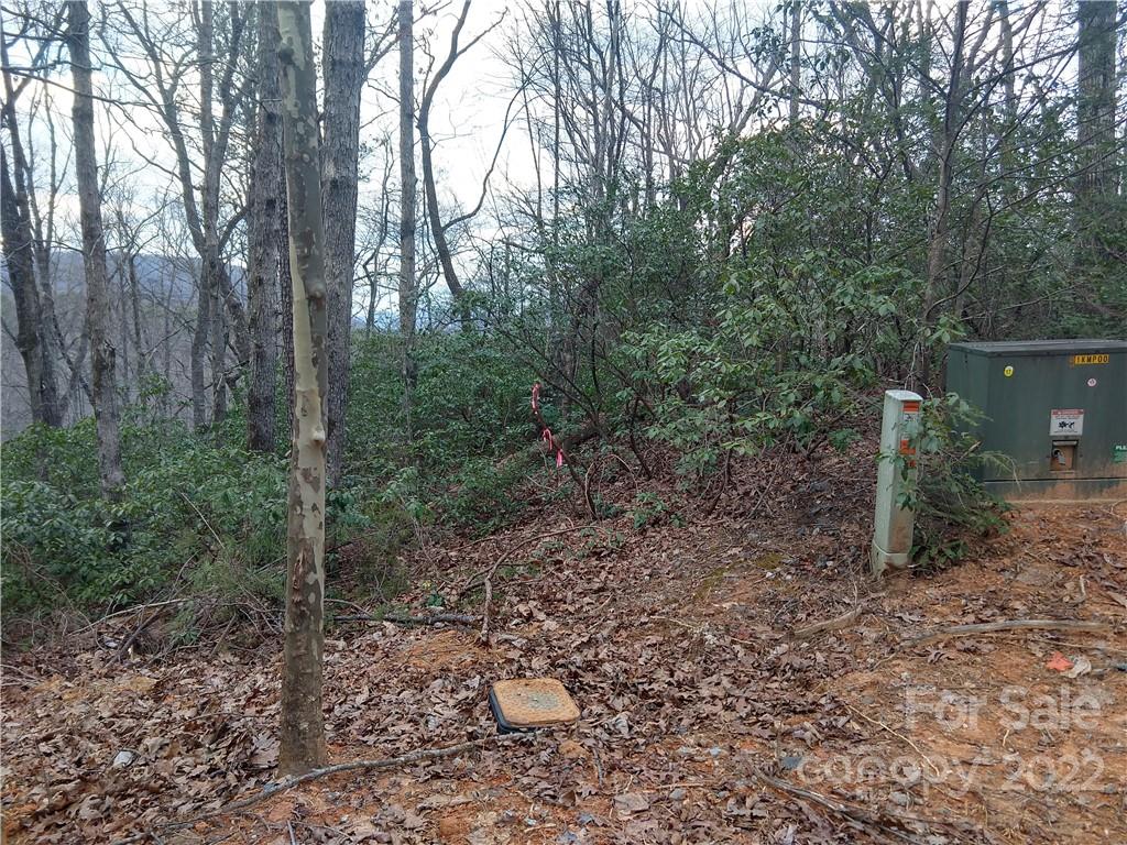 94-95 Rock Spring Rd Lake Lake Lure, NC 28746 - Photo 10 of 10