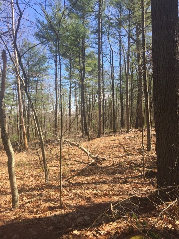 Lot 10 Town Farm Road Monson, MA 01057 - Photo 3 of 5 Gallery Image 3