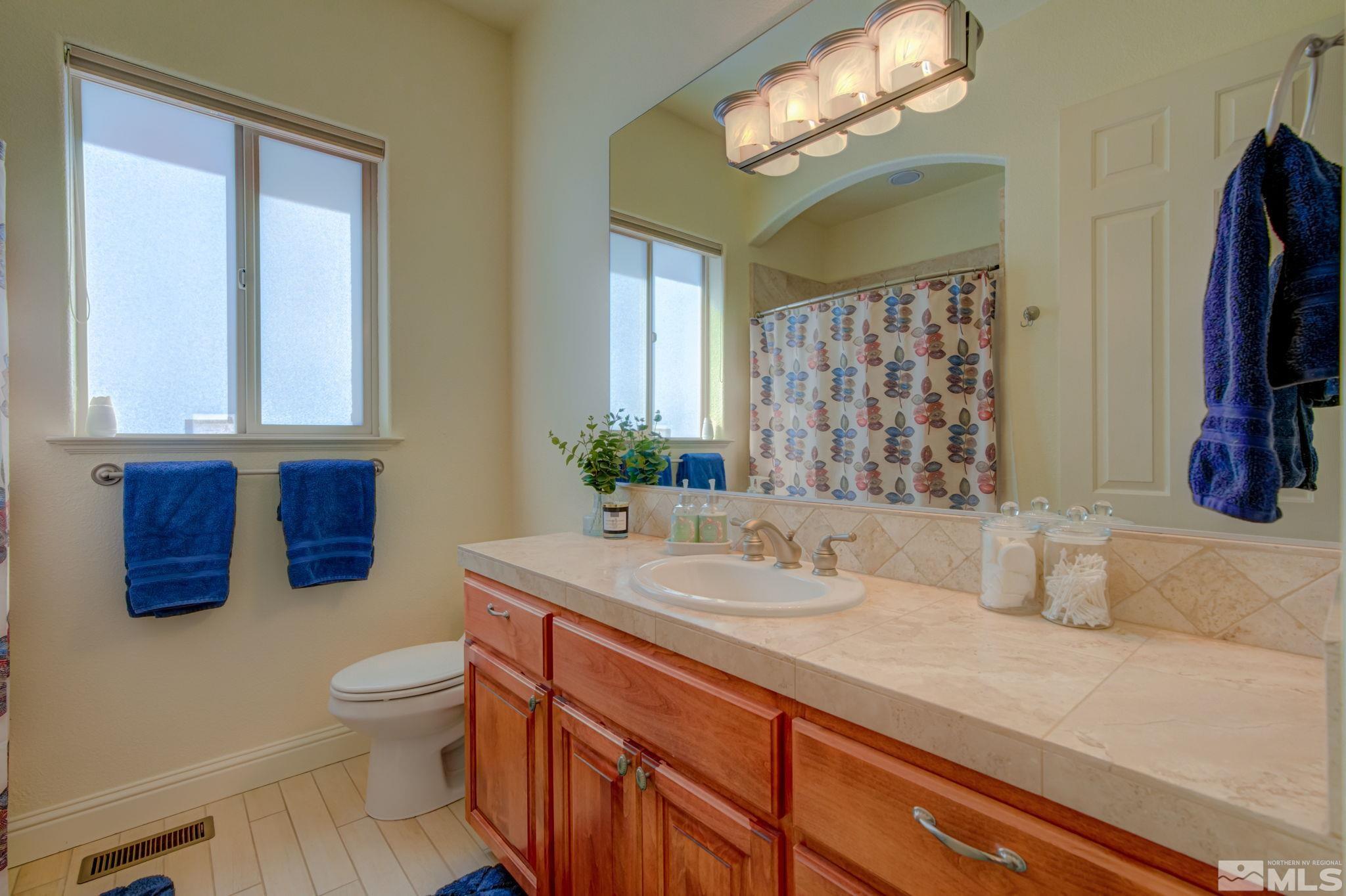 1122 North Fork Trail Minden, NV 89423 - Photo 32 of 40 a bathroom with a sink a toilet and a large mirror