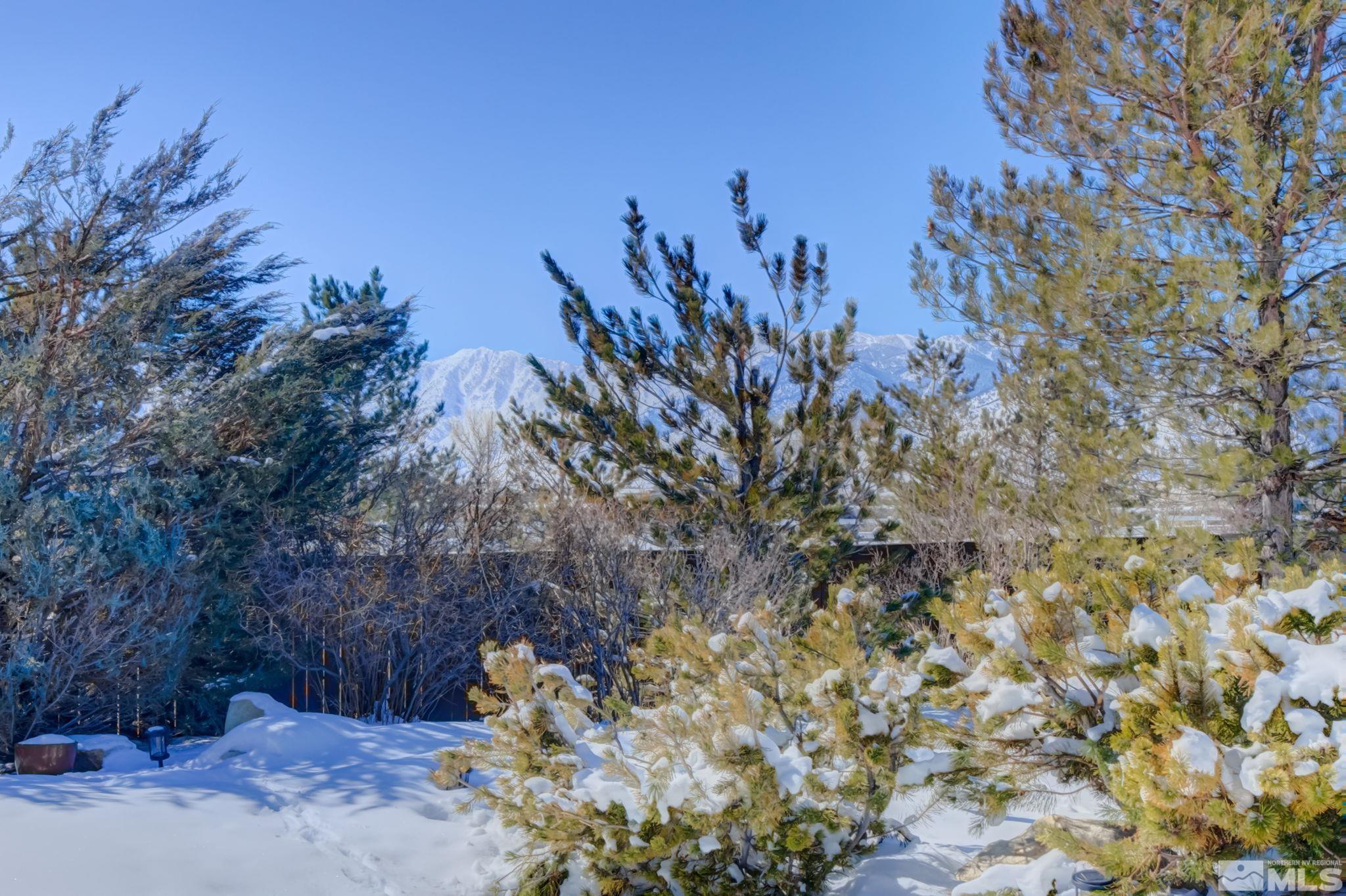 1122 North Fork Trail Minden, NV 89423 - Photo 35 of 40