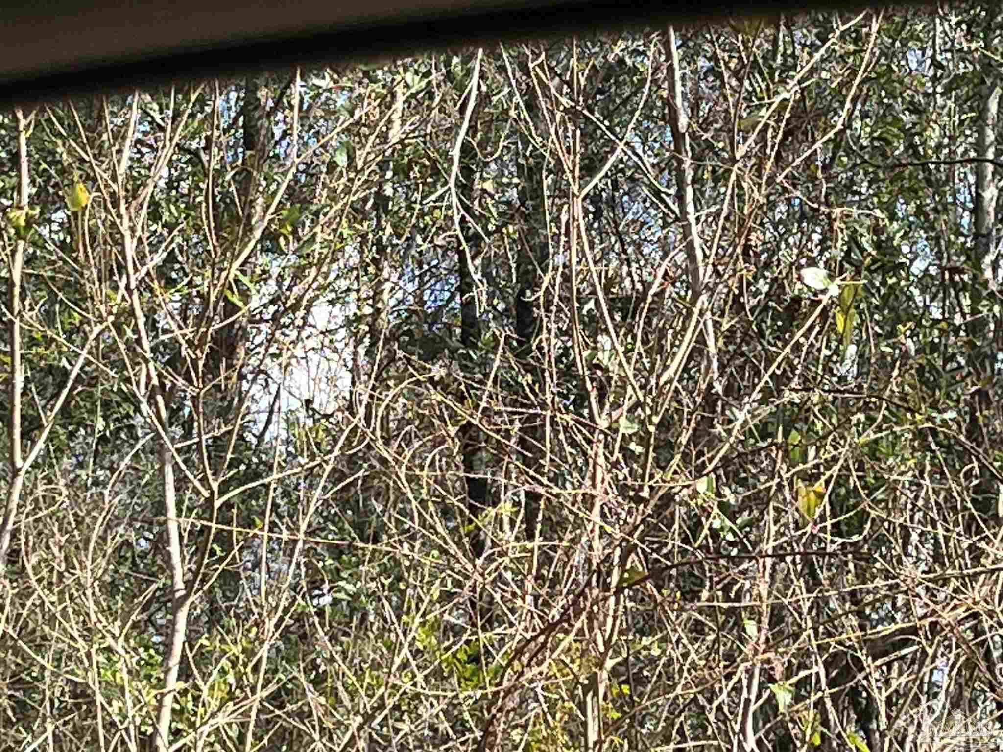 0 Fox Quarry Rd