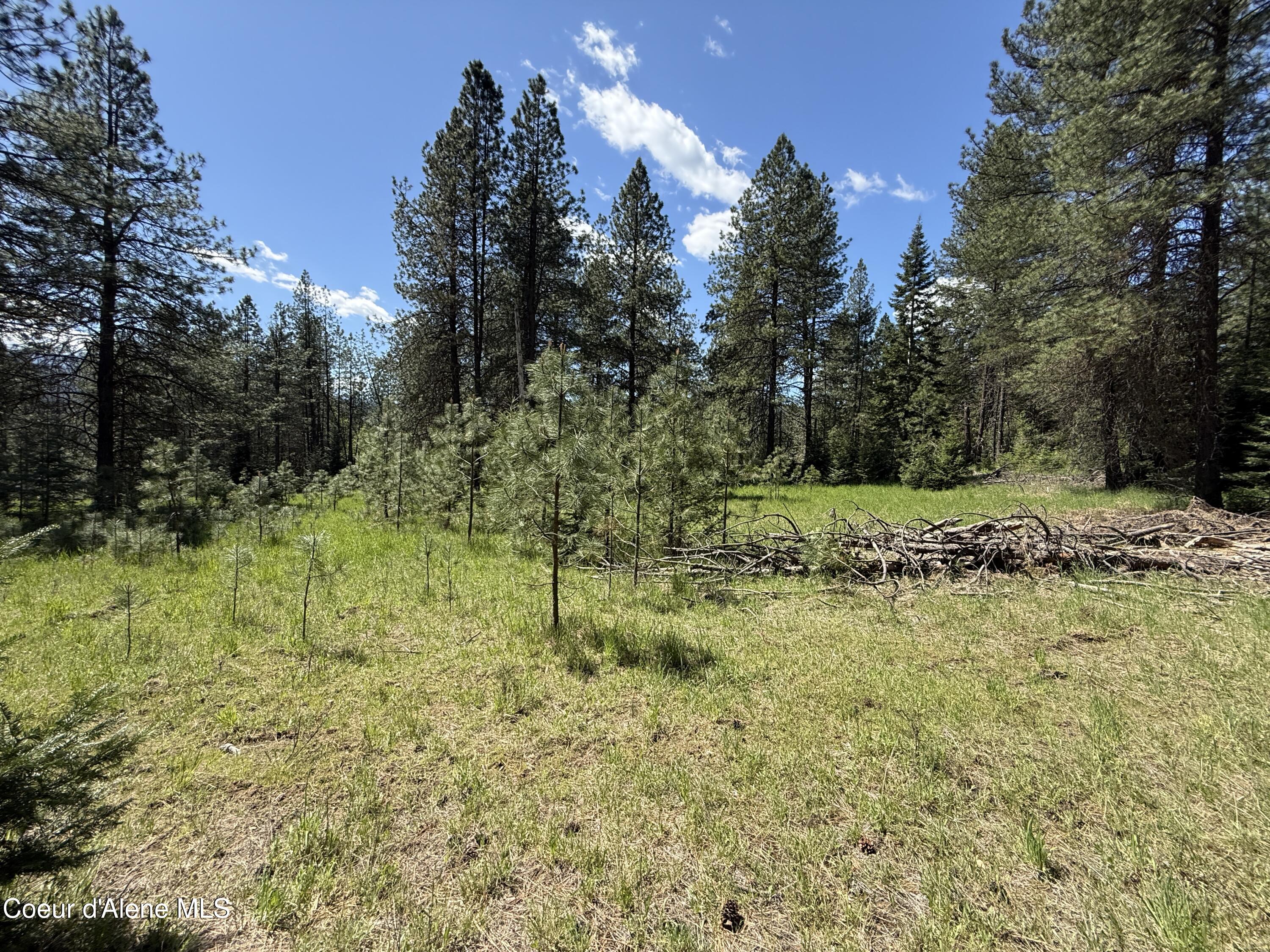 968 Ranch Road Kingston, ID 83839 - Photo 24 of 26 24