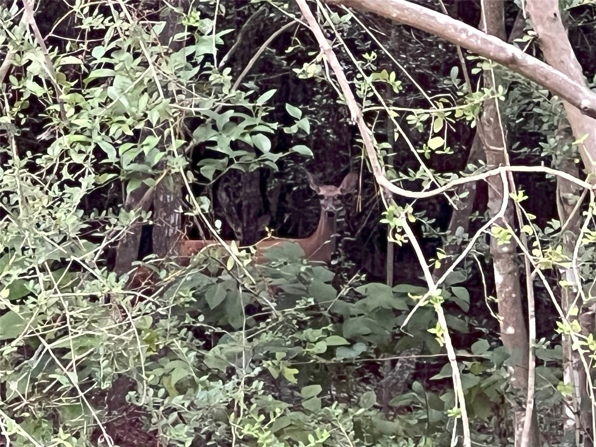 362 Rd Waller Tx 77484 Road Waller, TX 77484 - Photo 16 of 21 a view of an outdoor space