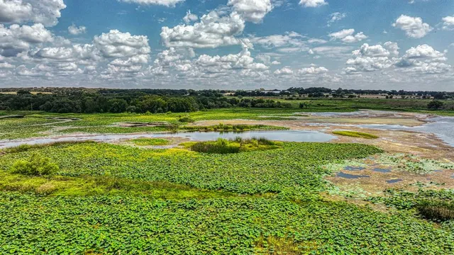 a view of a golf course with a lake view