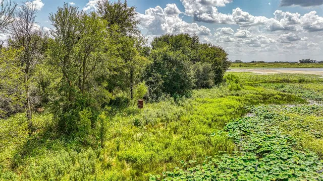 a view of a garden with an trees