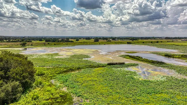 a view of an ocean and beach