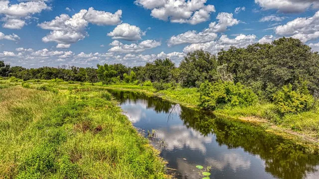 a view of a pathway with a yard