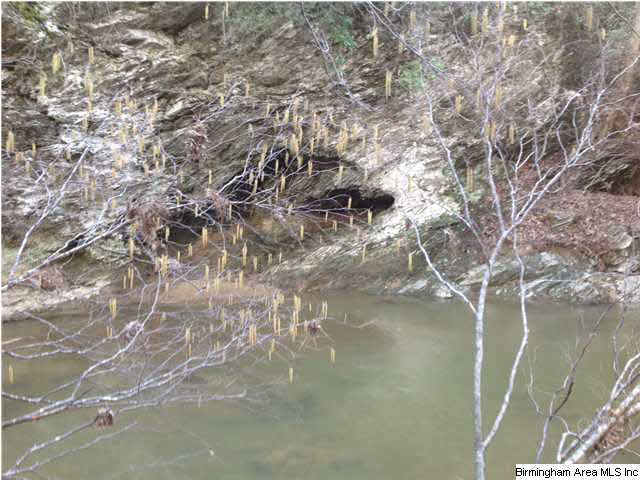 Creek Road, Unit 8 9AC Munford, AL 36268 - Photo 4 of 6