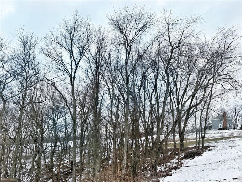 187 Wolf Run Road Freedom, PA 15042 - Photo 30 of 33 Wooded view