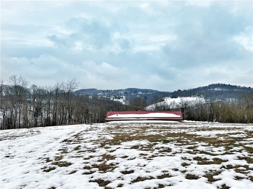 187 Wolf Run Road Freedom, PA 15042 - Photo 5 of 33 It's beautiful and green under the snow!
