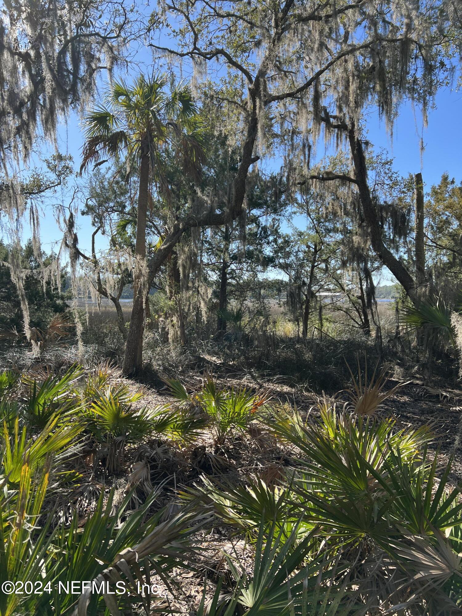 0 Lake Road Jacksonville, FL 32226 - Photo 8 of 13 IMG_6011 copy