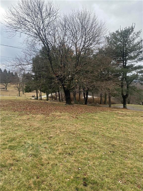 505 Dry Ridge Road West Alexander, PA 15376 - Photo 12 of 13