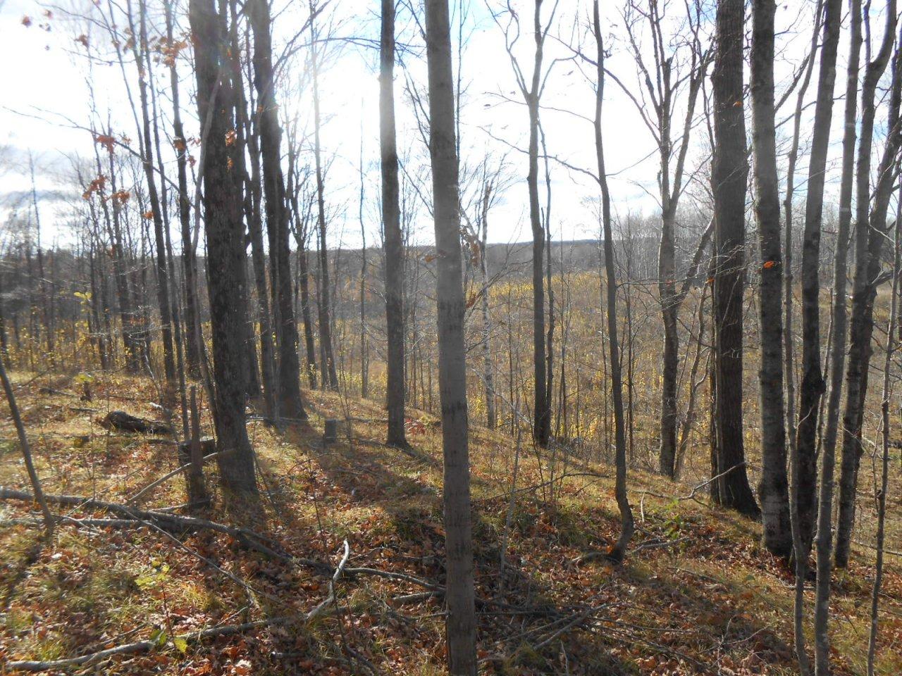 On Goetzke Road Prentice, WI 54556 - Photo 15 of 33 Gallery Image 15