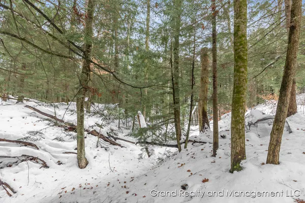 $299,900 | 8081 East Arthur Road, Hesperia, MI 49421