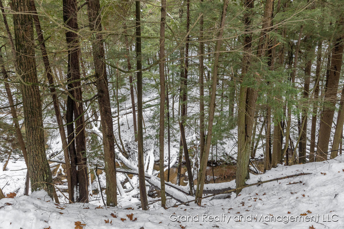 8081 East Arthur Road Hesperia, MI 49421 - Photo 52 of 65 IMG_1034