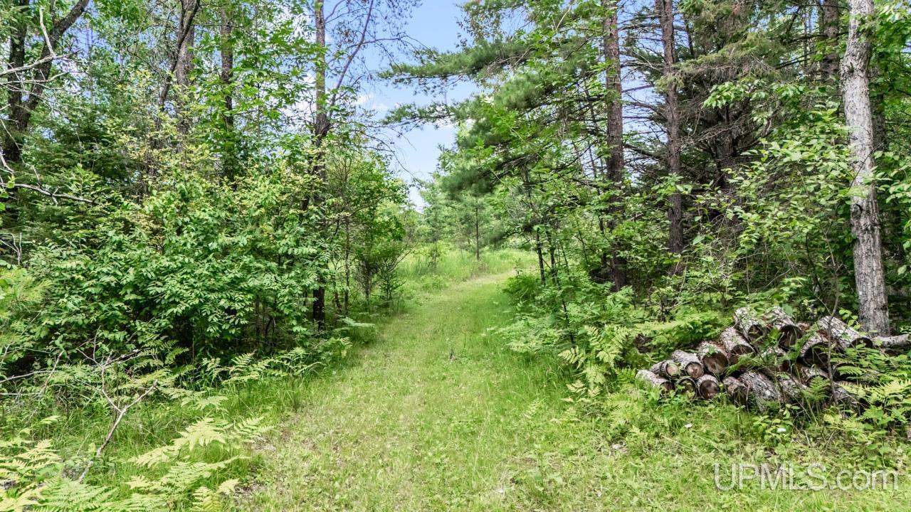 N10041 County Road 577 Daggett, MI 49821 - Photo 19 of 22