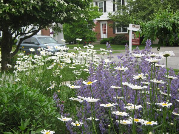 41 Longfellow Road Needham, MA 02494 - Photo 16 of 20 a backyard of a house with lots of green space and fountain in middle