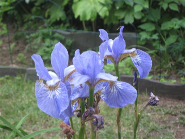 41 Longfellow Road Needham, MA 02494 - Photo 18 of 20 a view of a pond with sitting area