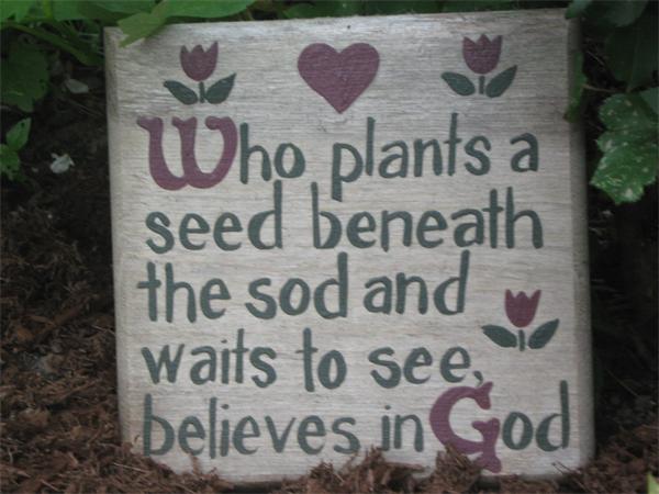 41 Longfellow Road Needham, MA 02494 - Photo 20 of 20