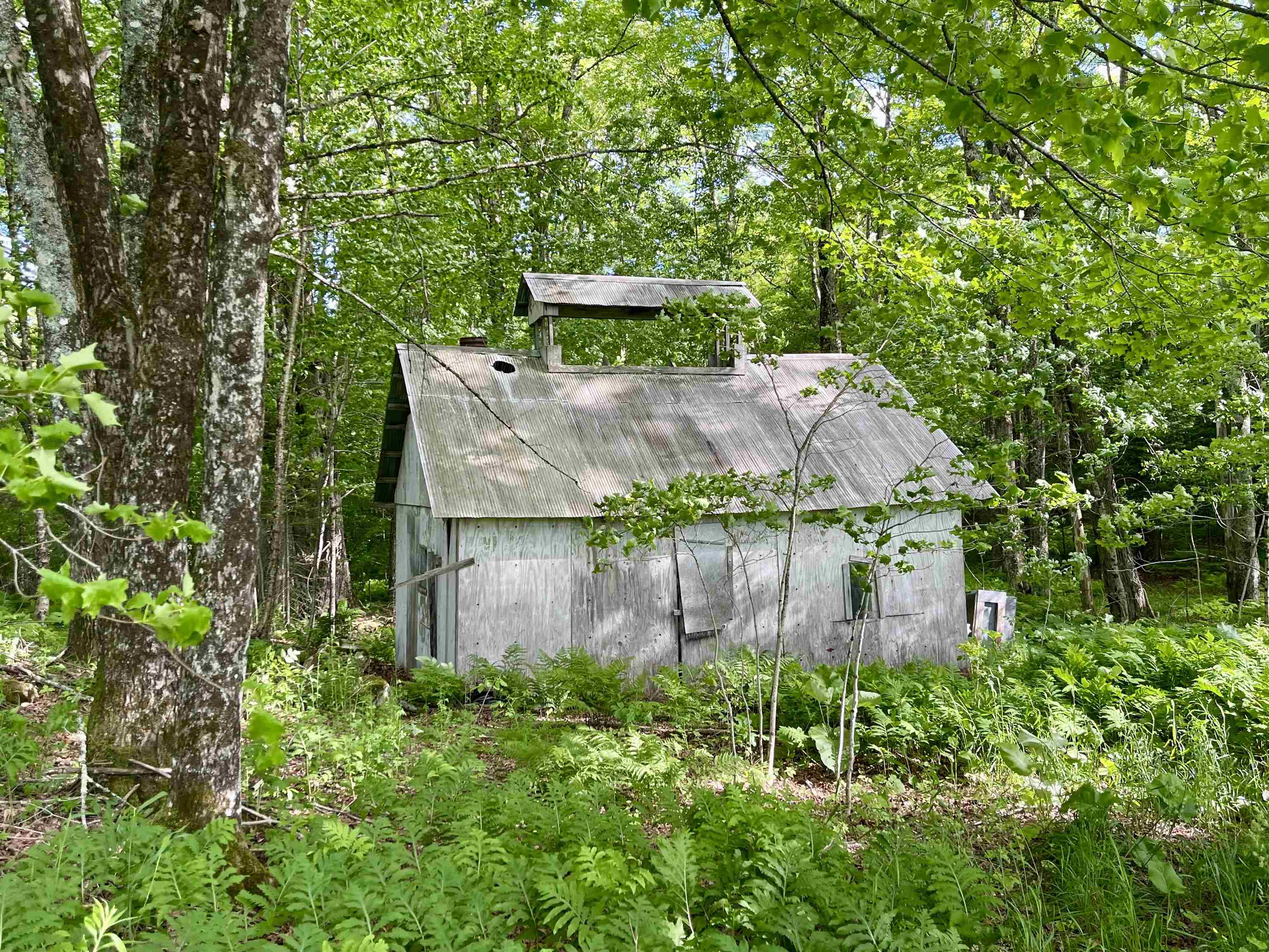 0 Old Farm Road West Burke, VT 05871 - Photo 7 of 14