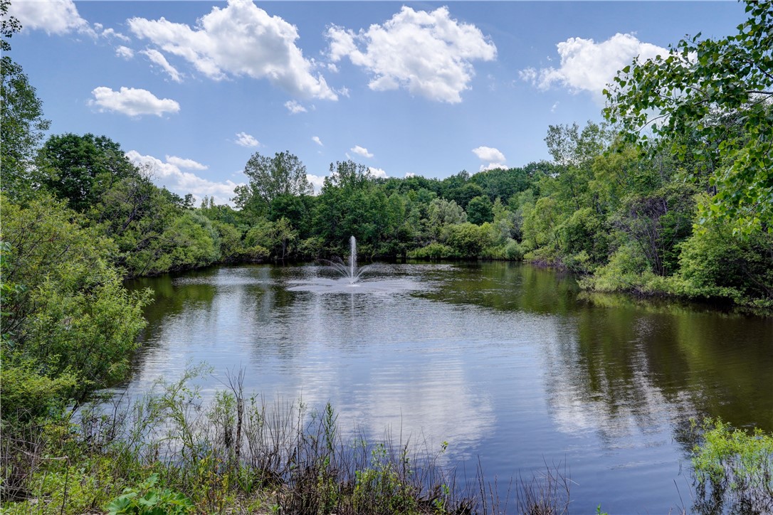 7702-7650 Faber Road Prattsburgh, NY 14873 - Photo 18 of 40