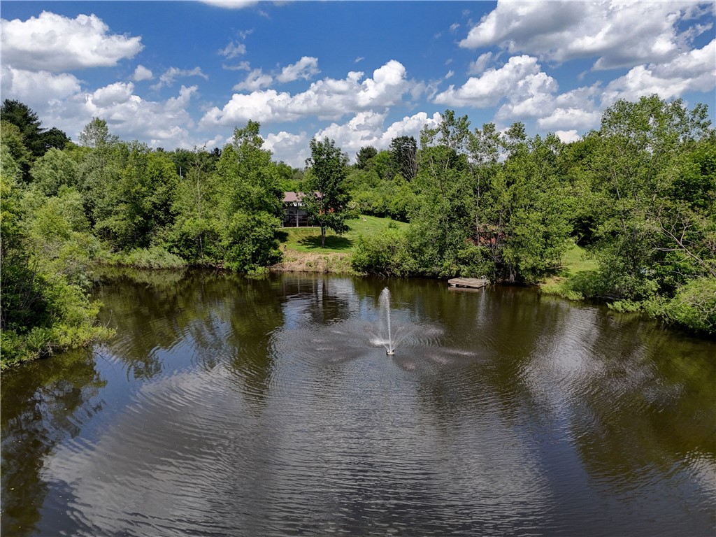 7702-7650 Faber Road Prattsburgh, NY 14873 - Photo 19 of 40