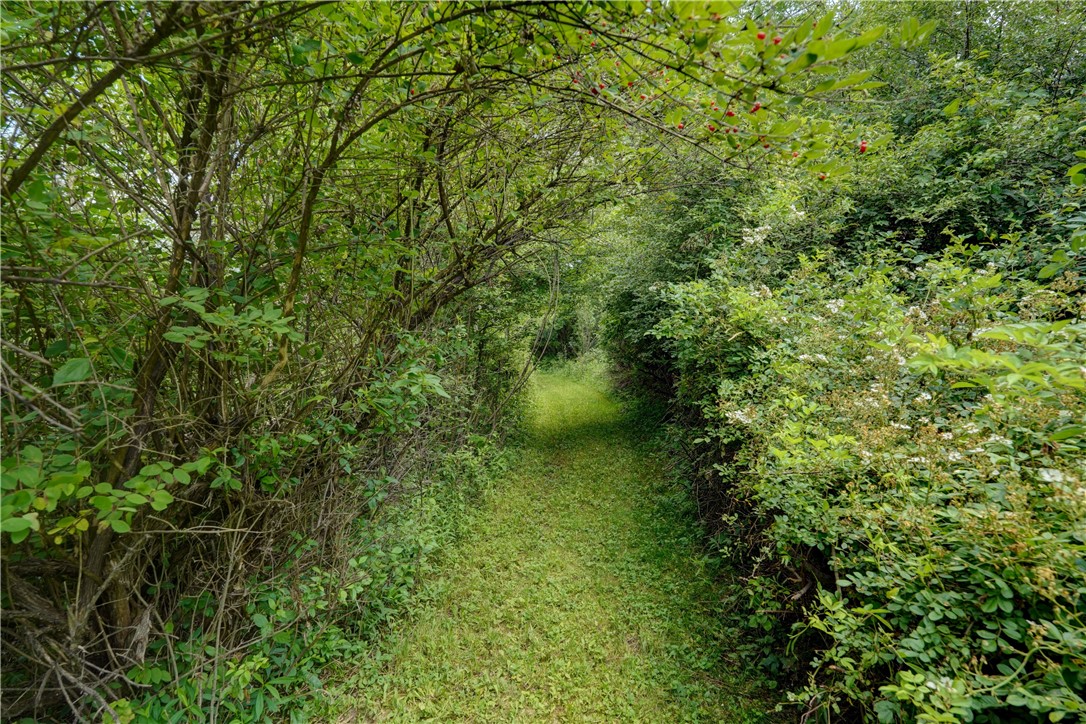 7702-7650 Faber Road Prattsburgh, NY 14873 - Photo 34 of 40