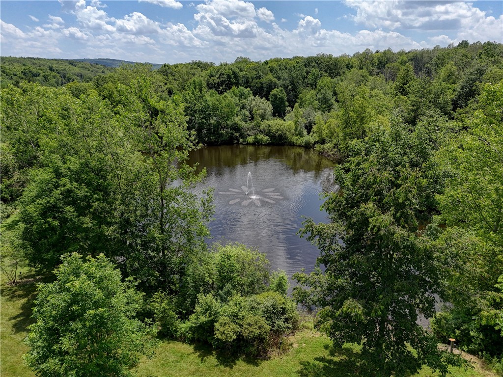 7702-7650 Faber Road Prattsburgh, NY 14873 - Photo 36 of 40