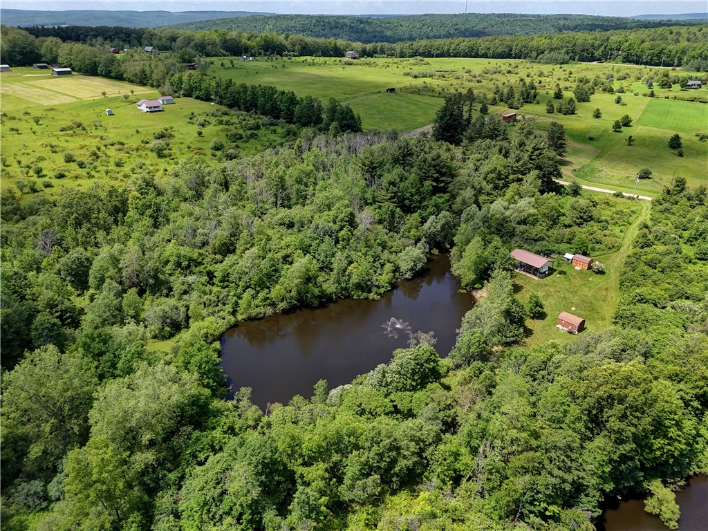 7702-7650 Faber Road Prattsburgh, NY 14873 - Photo 37 of 40