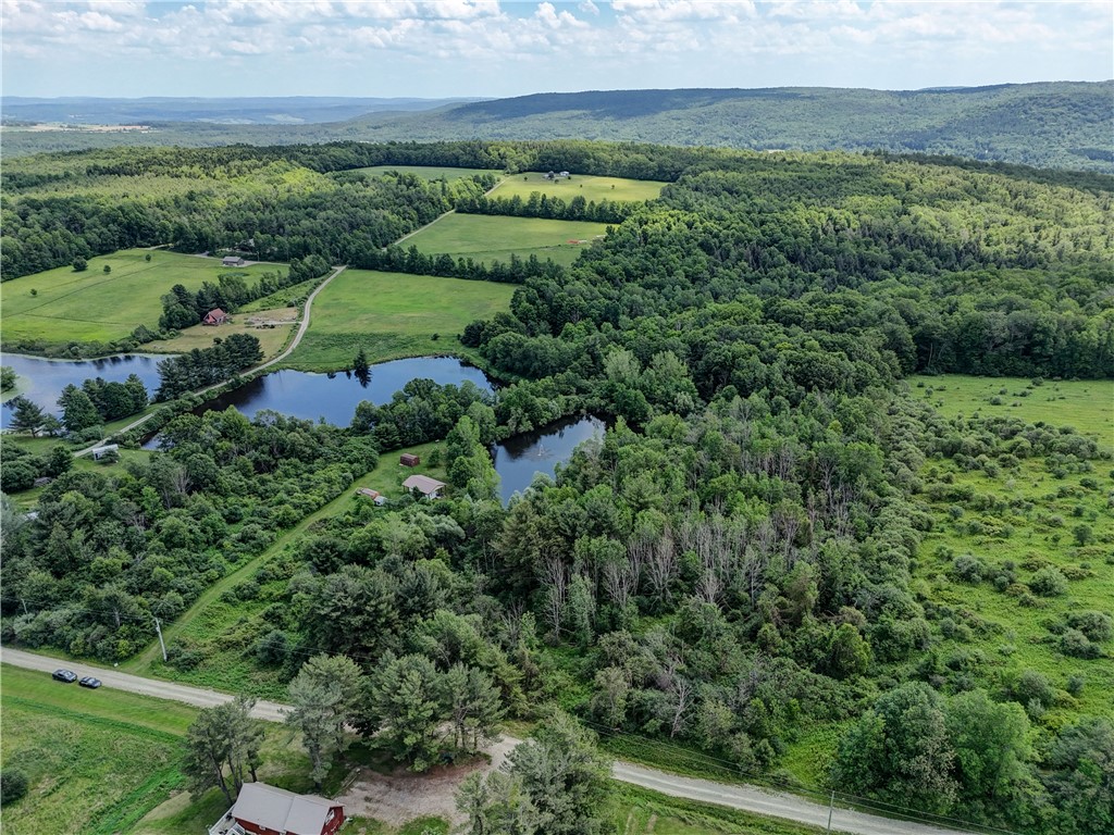 7702-7650 Faber Road Prattsburgh, NY 14873 - Photo 38 of 40