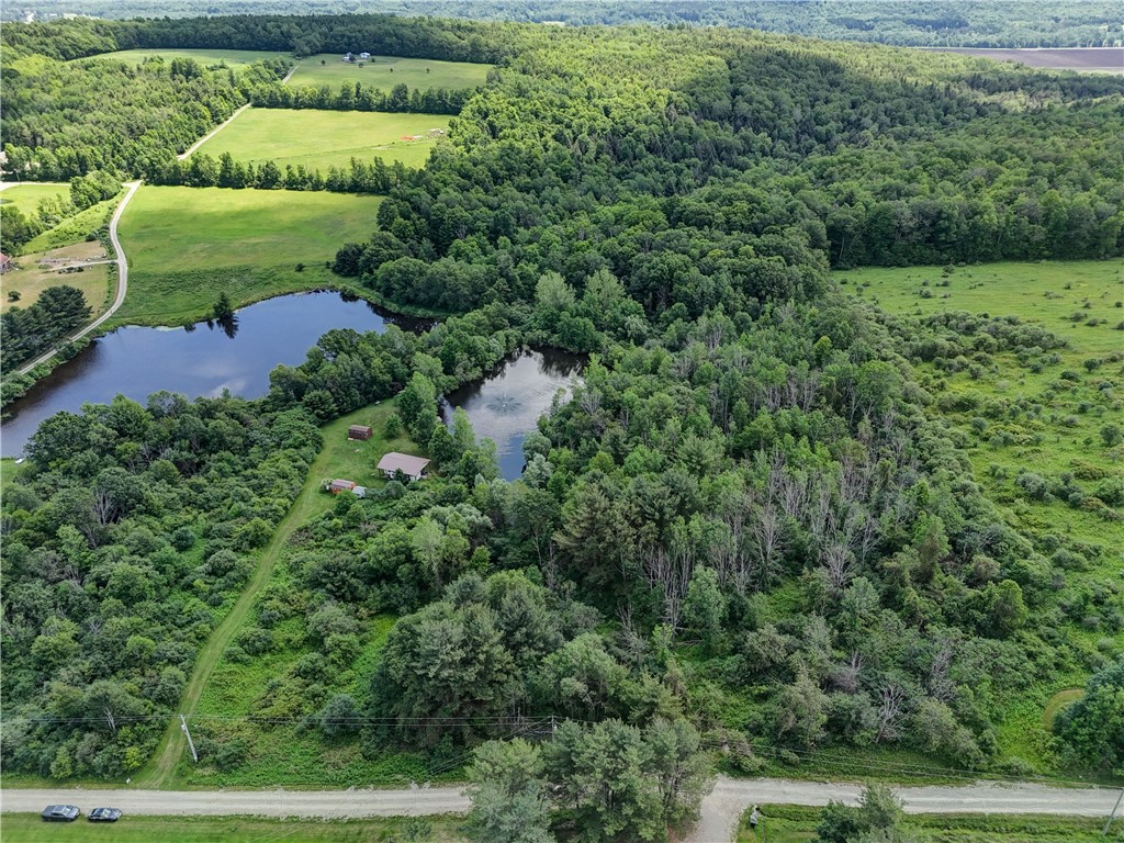 7702-7650 Faber Road Prattsburgh, NY 14873 - Photo 39 of 40