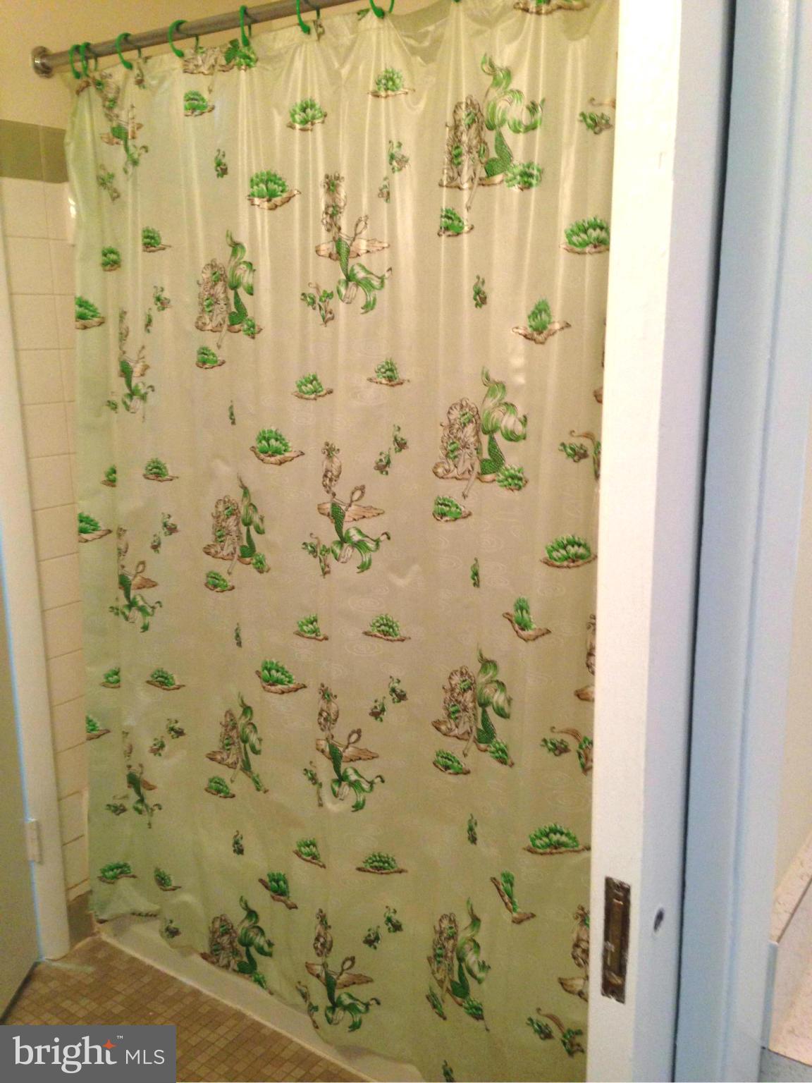 9325 Pan Ridge Road Baltimore, MD 21234 - Photo 12 of 20 a bathroom with a shower curtain