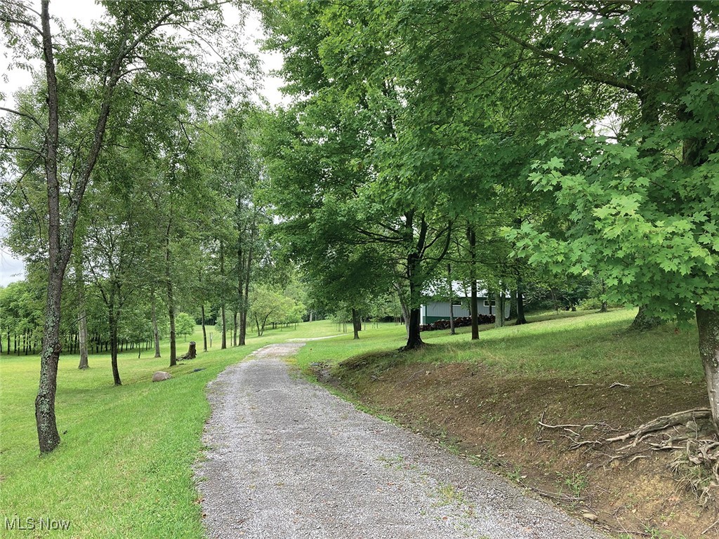 31386 Haessly Road Hanoverton, OH 44423 - Photo 5 of 8 View of road
