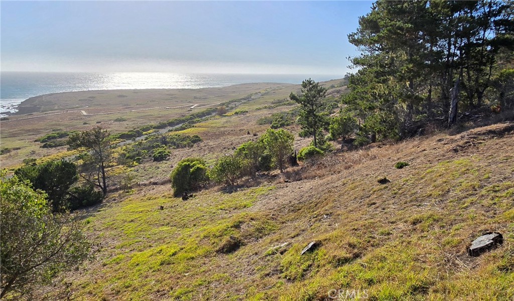 2541 Madison Street Cambria, CA 93428 - Photo 9 of 10 Fiscalini Ranch Preserve from the end of Madison