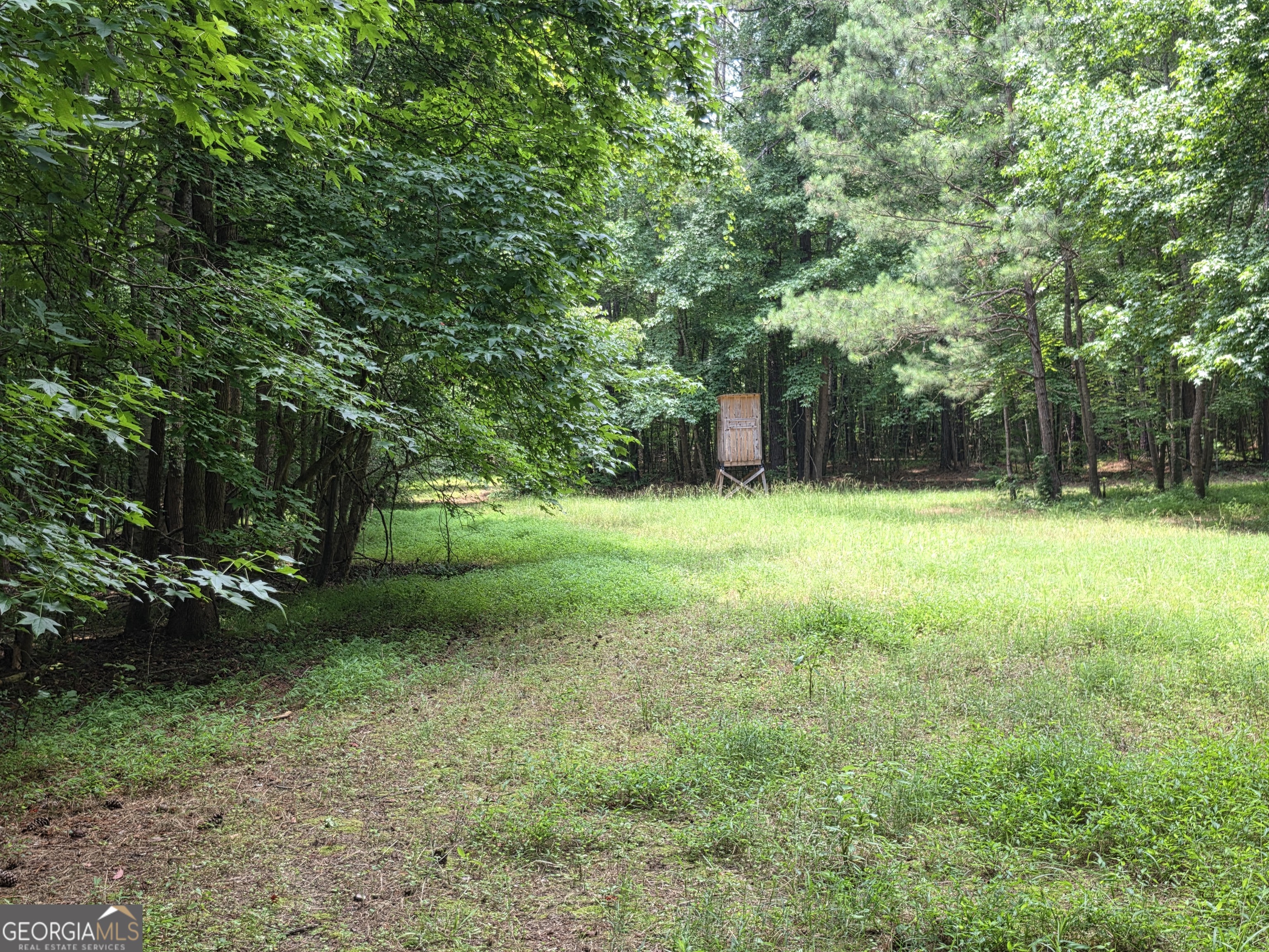 0 Court Ground Washington, GA 30673 - Photo 25 of 46 Gallery Image 25