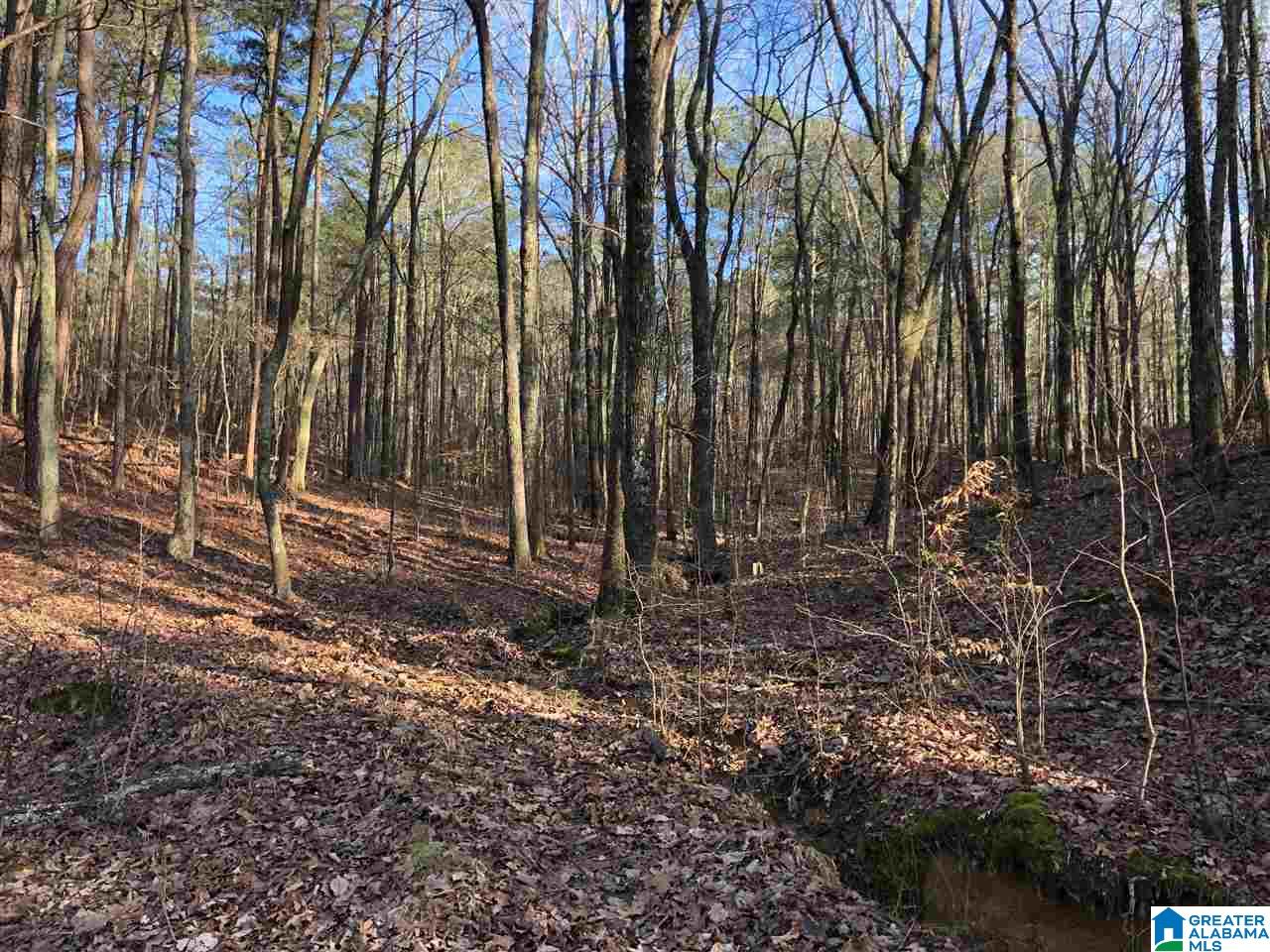 0 Drake Drive Springville, AL 35146 - Photo 7 of 23