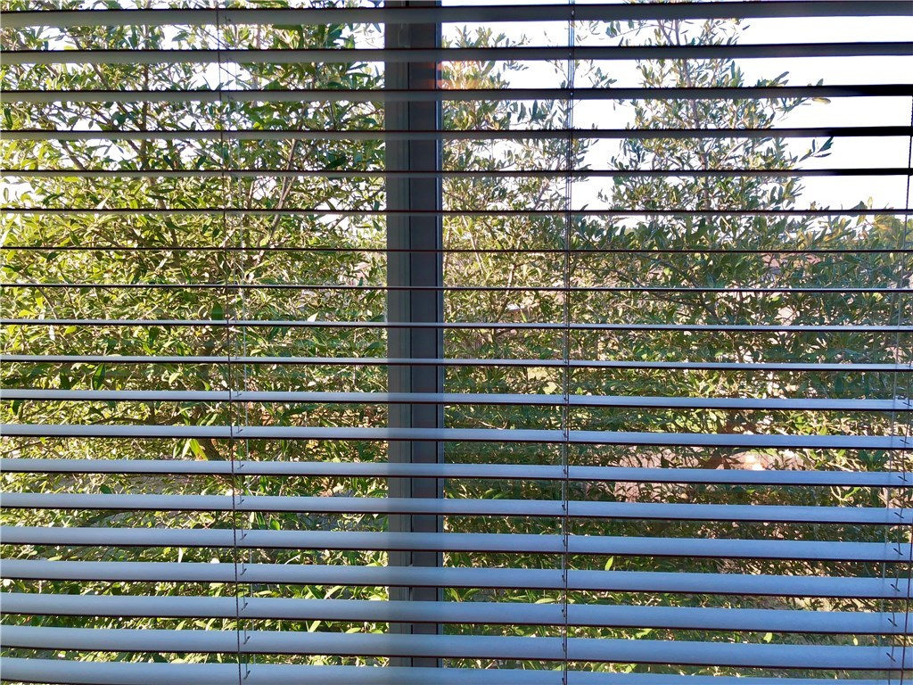 121 Ansleys Way Kyle, TX 78640 - Photo 31 of 39