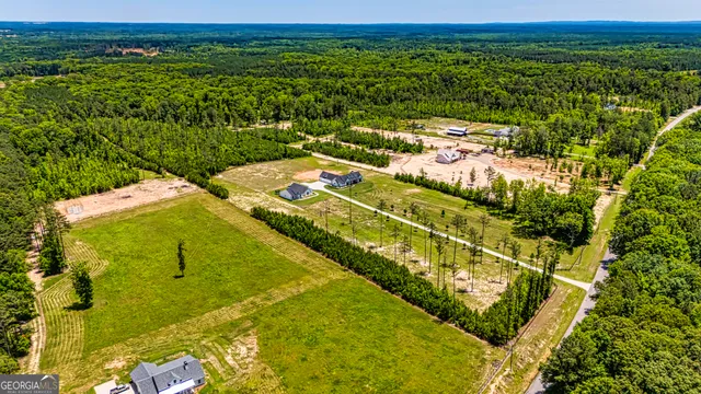 $1,964,600 | 11084 Mt Carmel Road, Senoia, GA 30276